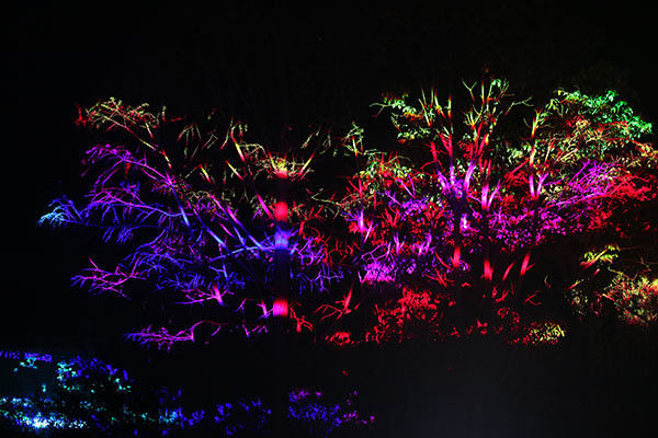 30W laserlicht