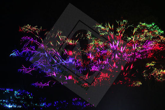 Gepersonaliseerde 95kg Rave Lasers met 638nm 525nm en 455nm golflengten