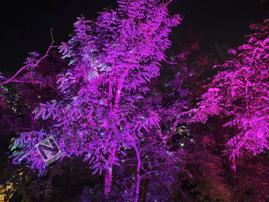 Hoge efficiëntie RGB briljante lasershow met laser kleur groen aangepast
