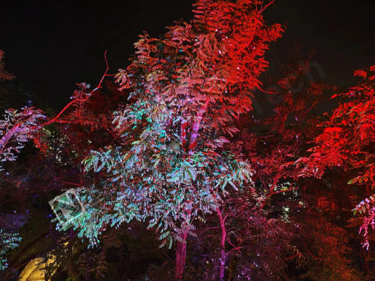 10°C-35°C Verbazingwekkende laserlichtshow Perfecte stabiele werking voor grote evenementen