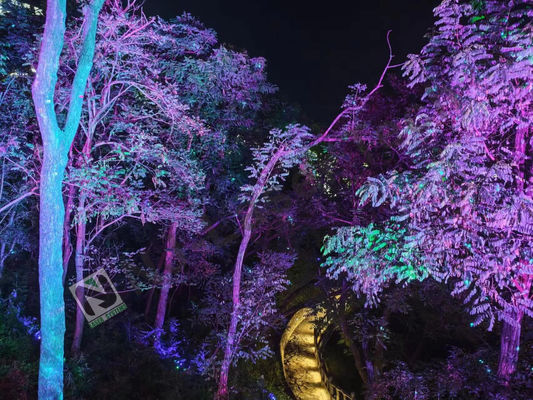 Transformeer de ruimte met Disco laser lichten 50 G vermogen en 532 Nm golflengte