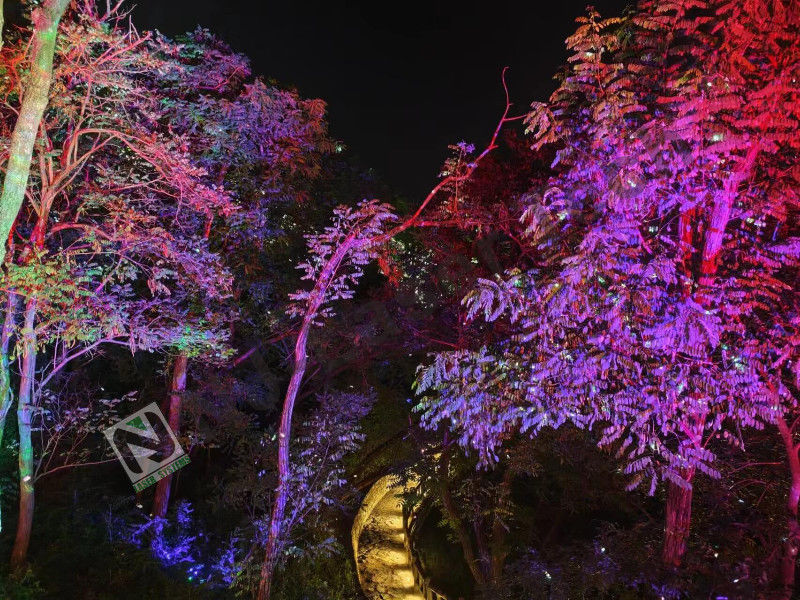 10°C-35°C Verbazingwekkende laserlichtshow Perfecte stabiele werking voor grote evenementen